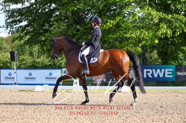 DKP41560 | Deine Turnierfotos vom Reitturnier online kaufen: Dressur, Springen & Siegerehrung. Professionelle Pferdefotografie aus dem Rheinland – als Download & Print.Alternative: Turnierfotograf für den Pferdesport: Finde deine Fotos von Dressur- und Springturnier