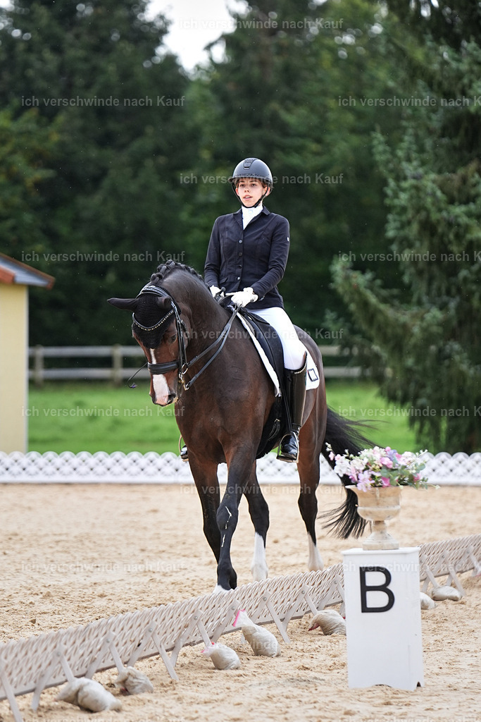 3-224-Dressur M_-Marixx-2017 | working equitationturnier fotograf videograf stoibphotography marixx film working equitation deutschland reitsport turnierfotografie eventfotografie equestrian events