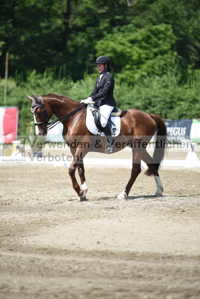 DSC_8838 | equestrian-live-com