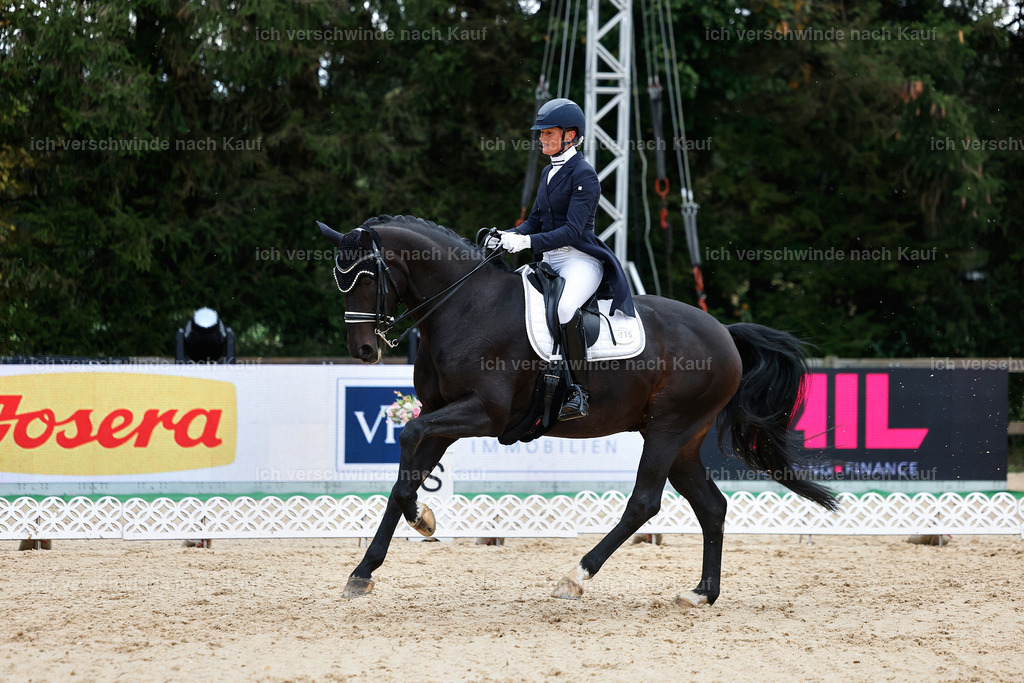 10-115-ST.GEORG SPECIAL -StoibPH-3200 | working equitationturnier fotograf videograf stoibphotography marixx film working equitation deutschland reitsport turnierfotografie eventfotografie equestrian events