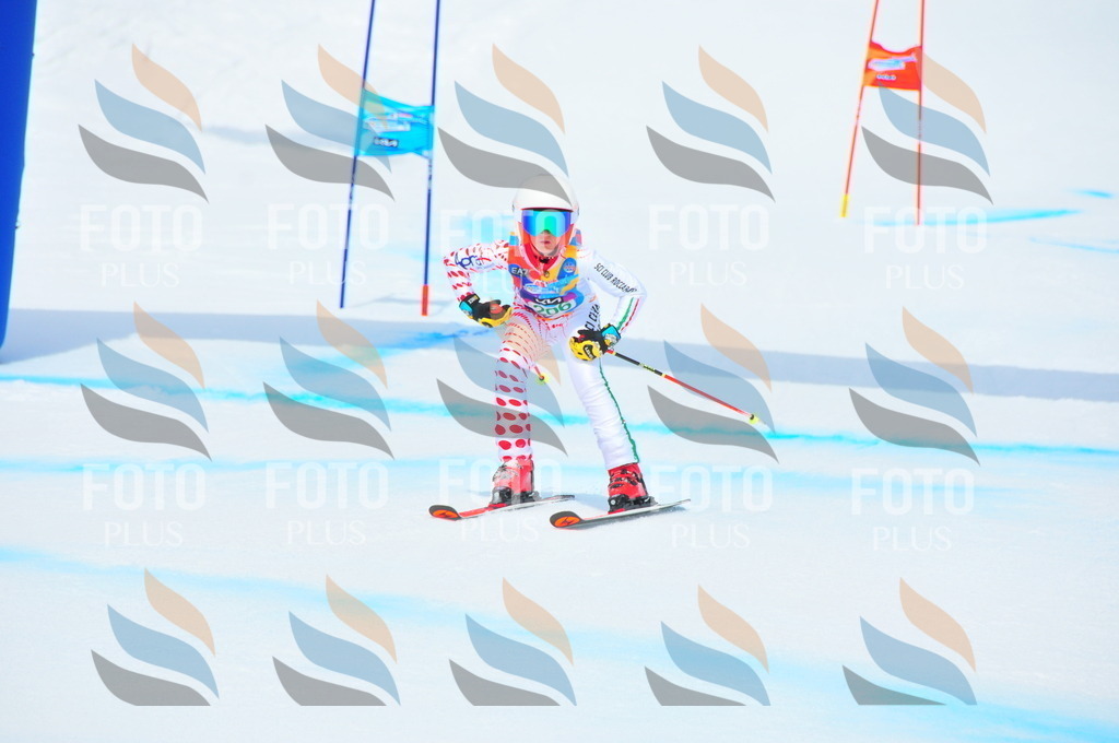 DSC_1887 | holidayphoto