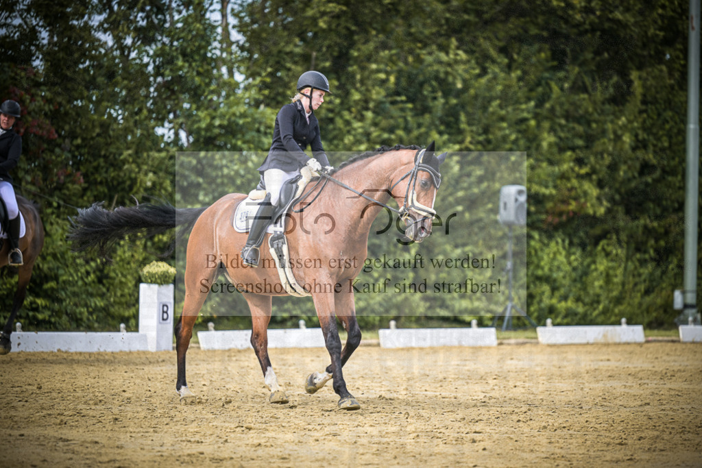 DOS_7020 | Entdecke hochwertige Reitturnierfotos von Foto Oger. Professionell, emotional und authentisch – jetzt Lieblingsmomente im Shop bestellen.Deutschlandweite Turnierfotografie. - Realisiert mit Pictrs.com
