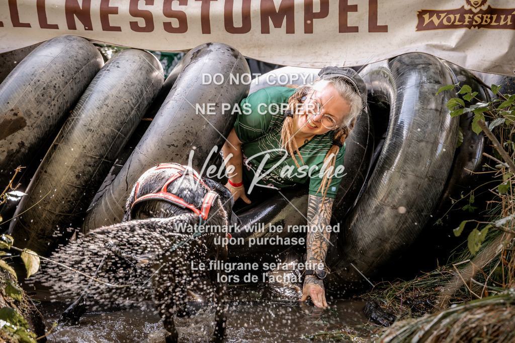 nelerasche_Hunsrück2026_Sa1400-1500_419 | nelerasche