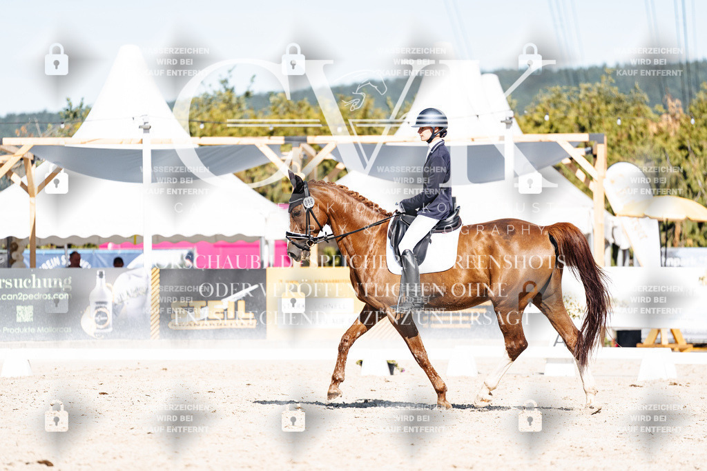 CK908431 | Turnierfotografie Pferdefotografie Trier Rheinland-Pfalz Pferdesport Reitsport Tierfotografie Sportfotografie Pferdevideo Pferdevideografie Equestrianvideography equestrianphotography  - Realisiert mit Pictrs.com
