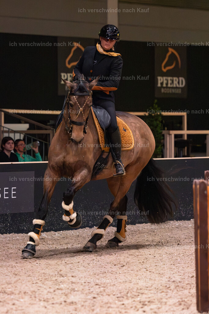 JoseraCup-56 | working equitationturnier fotograf videograf stoibphotography marixx film working equitation deutschland reitsport turnierfotografie eventfotografie equestrian events