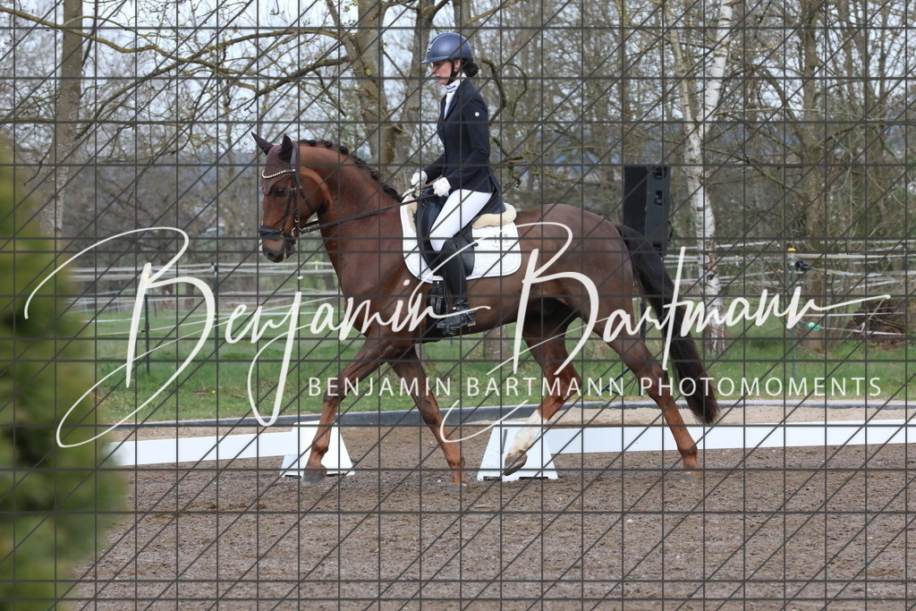 AZ2A6456 | Benjamin Bartmann Photomoments