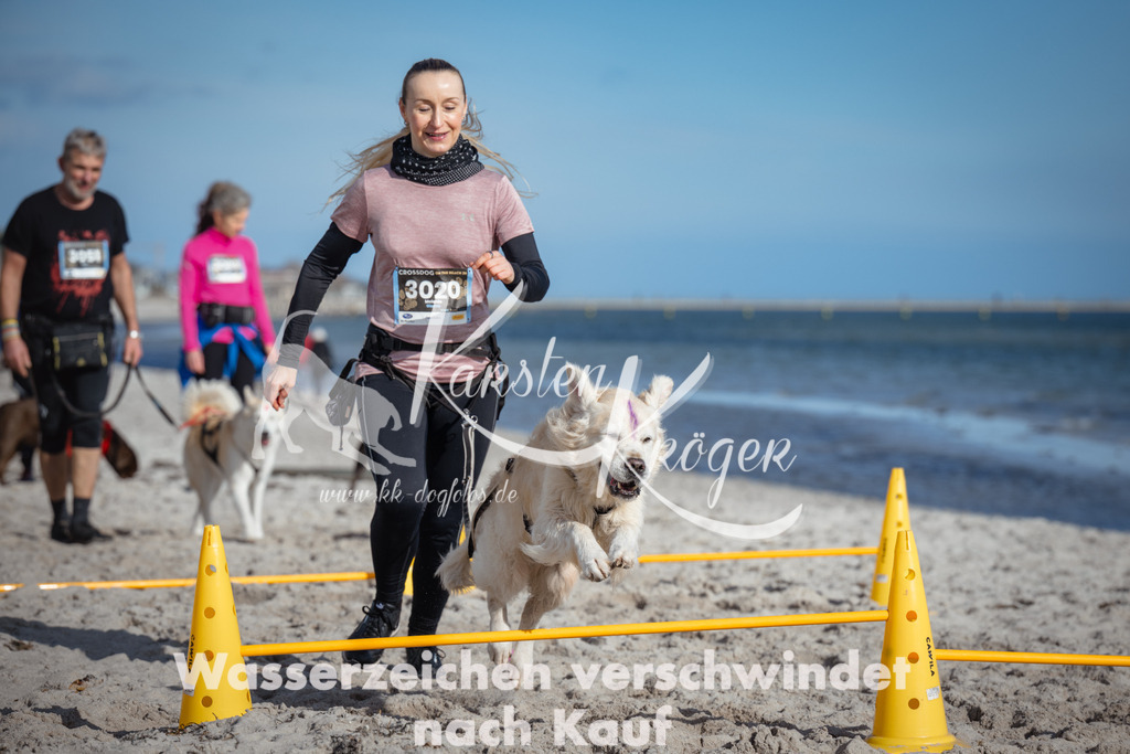 1345_ZZ93261 | kk-dogfotos