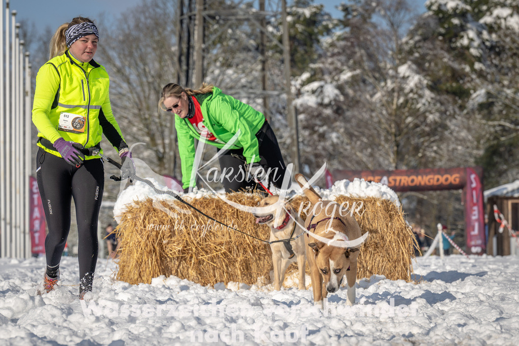 0954_ZZ94113 | kk-dogfotos