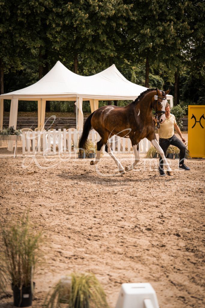 3.Fr00223 | Leoni Ertmer Photography - Realisiert mit Pictrs.com