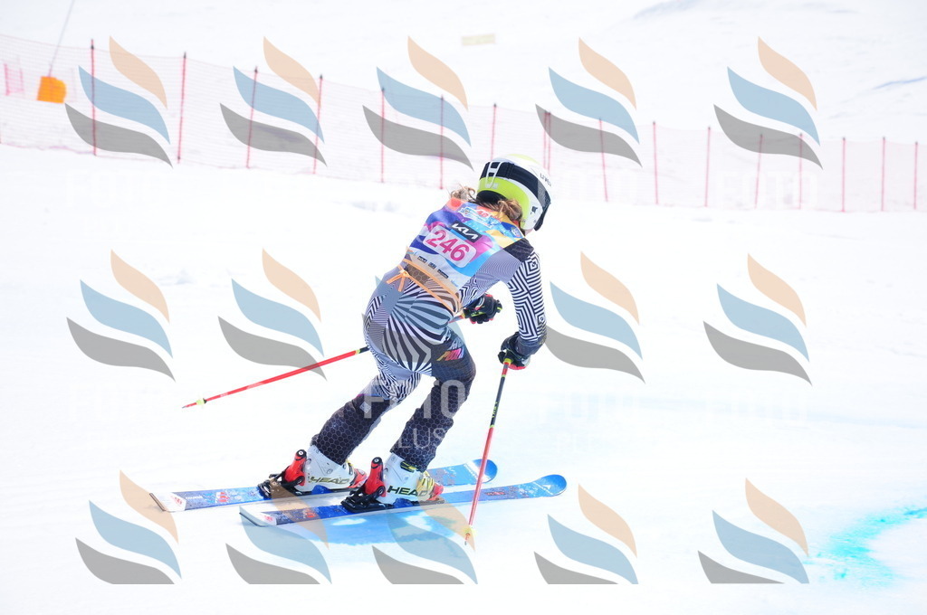 DSC_6192 | holidayphoto