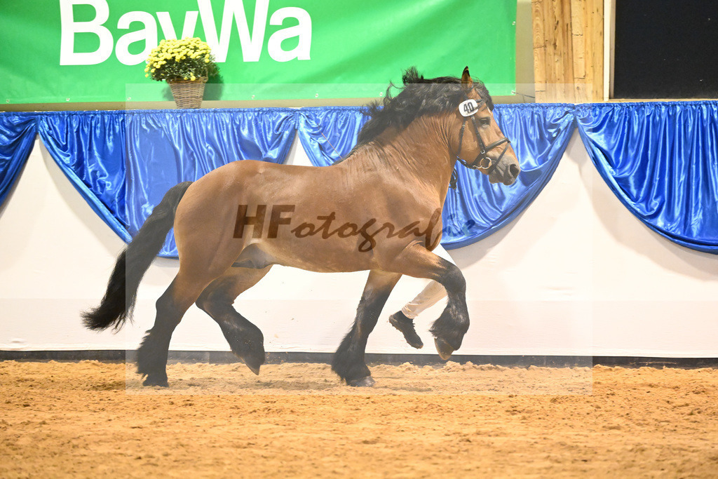 Kat-Nr. 40 Eulenspiegel_Fassbender_53221235 | hf-fotografie - Realizzato con Pictrs.com