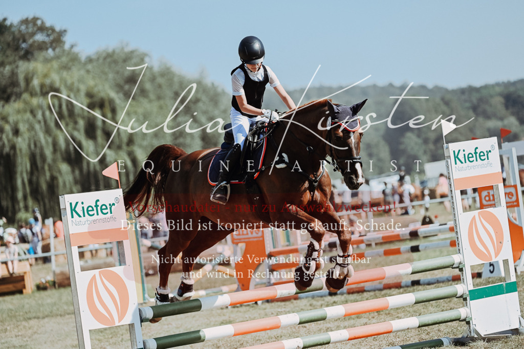 DSC_9460 | Pferde- und Turnierfotografie in Westsachsen. Pferdeportraits, Auftragszeichnungen und intuitive Kunst.