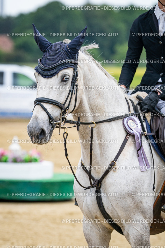 DSC06466 | Pferdegrafie