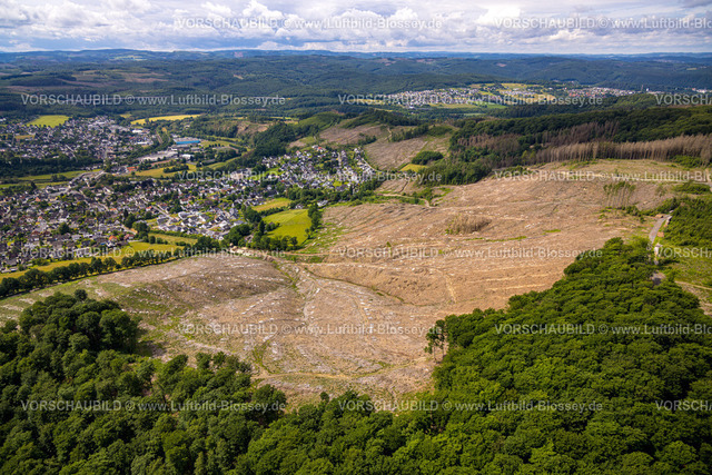 Arnsberg220601098 | Luftbild, Waldgebiet mit Waldschäden Arnsberger Wald, Kahlschlag, Glösingen, Arnsberg, Sauerland, Nordrhein-Westfalen, Deutschland