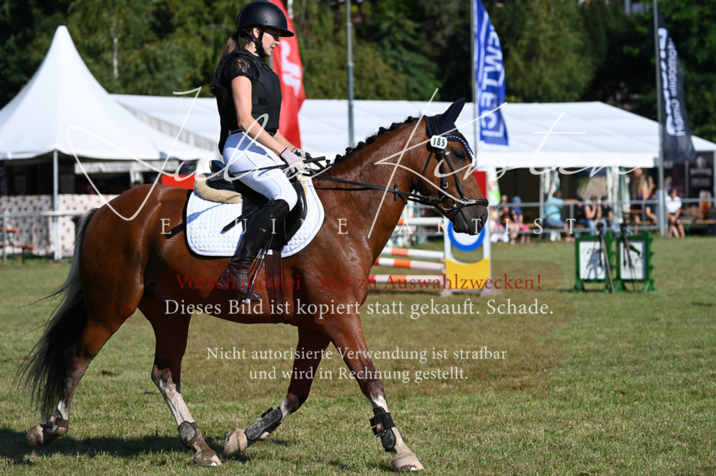 DSC_5341 | Pferde- und Turnierfotografie in Westsachsen. Pferdeportraits, Auftragszeichnungen und intuitive Kunst.
