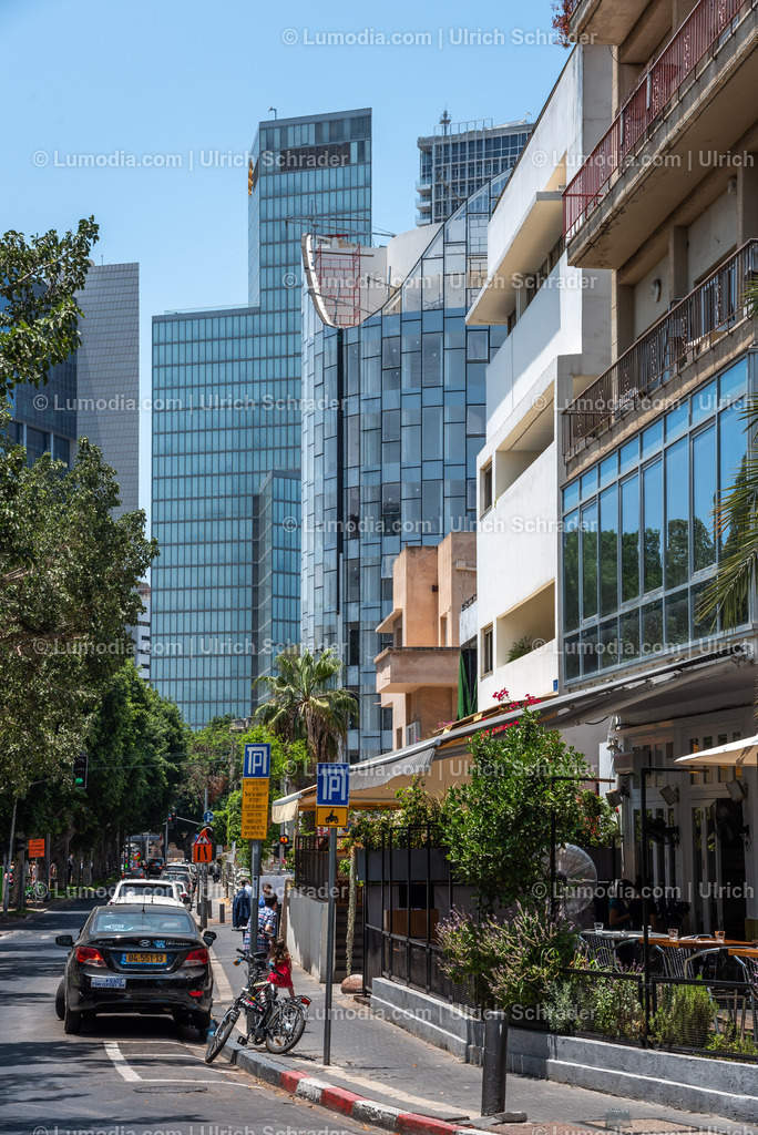 10972-10152 - Tel Aviv - Rothschild Boulevard | Stockfoto und Bilderpool mit Bildmaterial aus Deutschland, dem Harz, Halberstadt, Quedlinburg, Wernigerode und weltweit. Qualitativ hochwertige und professionelle Fotos anschauen und kaufen. - Realisiert mit Pictrs.com