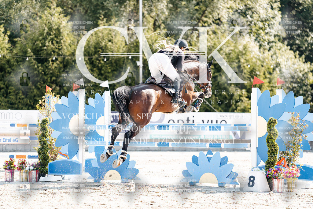 CK902533 | Turnierfotografie Pferdefotografie Trier Rheinland-Pfalz Pferdesport Reitsport Tierfotografie Sportfotografie Pferdevideo Pferdevideografie Equestrianvideography equestrianphotography  - Realisiert mit Pictrs.com