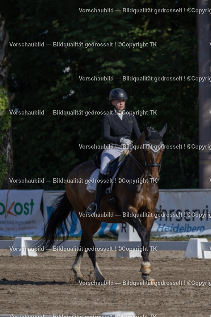 _D5A1684 | Emotionale Pferde- & People-Fotografie rund um Heidelberg, Leimen & Umgebung. Natürliche Fotos von Pferd, Mensch & Familie. Jetzt Termin sichern!