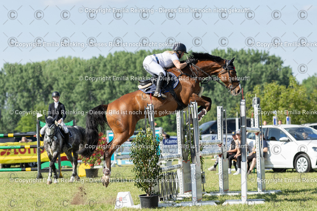 CL5A5312 | Emilia Reinking Fotografie - Realisiert mit Pictrs.com