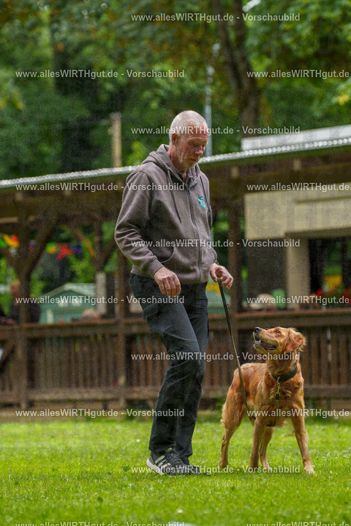 @allesWIRTHgut_Tierfotografie - www.allesWIRTHgut.de - 125812-7R509609 | Professionelle Tierfotografie in Mönchengladbach von Daniel Wirth (allesWIRTHgut). Liebevolle & natürliche Bilder von Hunden & Katzen für unvergessliche Erinnerungen.