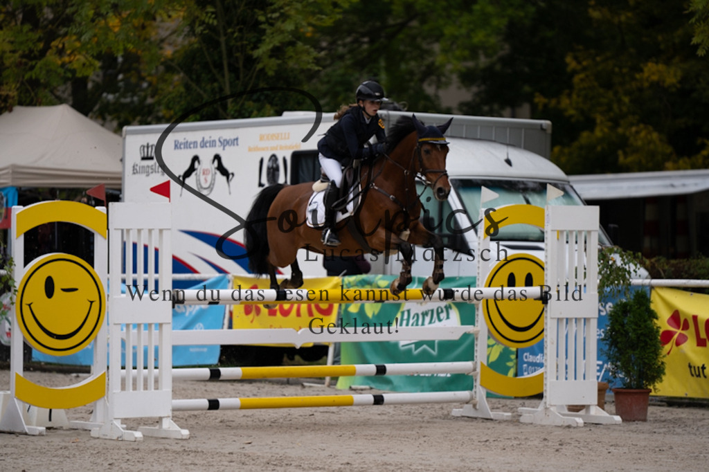 A7V09011 | Pferdefotograf