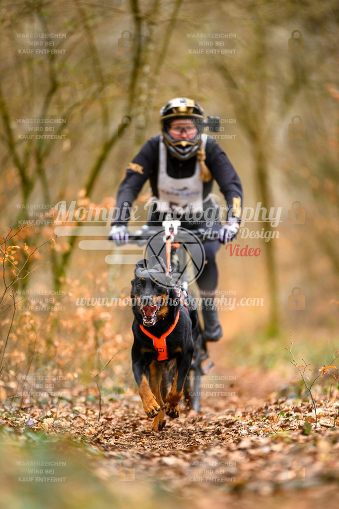 MompixPhotography_ReiatRennen2024_SO_Bike1H-96 | PayLife