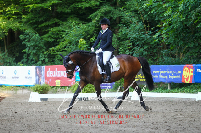 DKP43112 | Turniersportfotografie; Pferdefotografie; Dressurfotografie