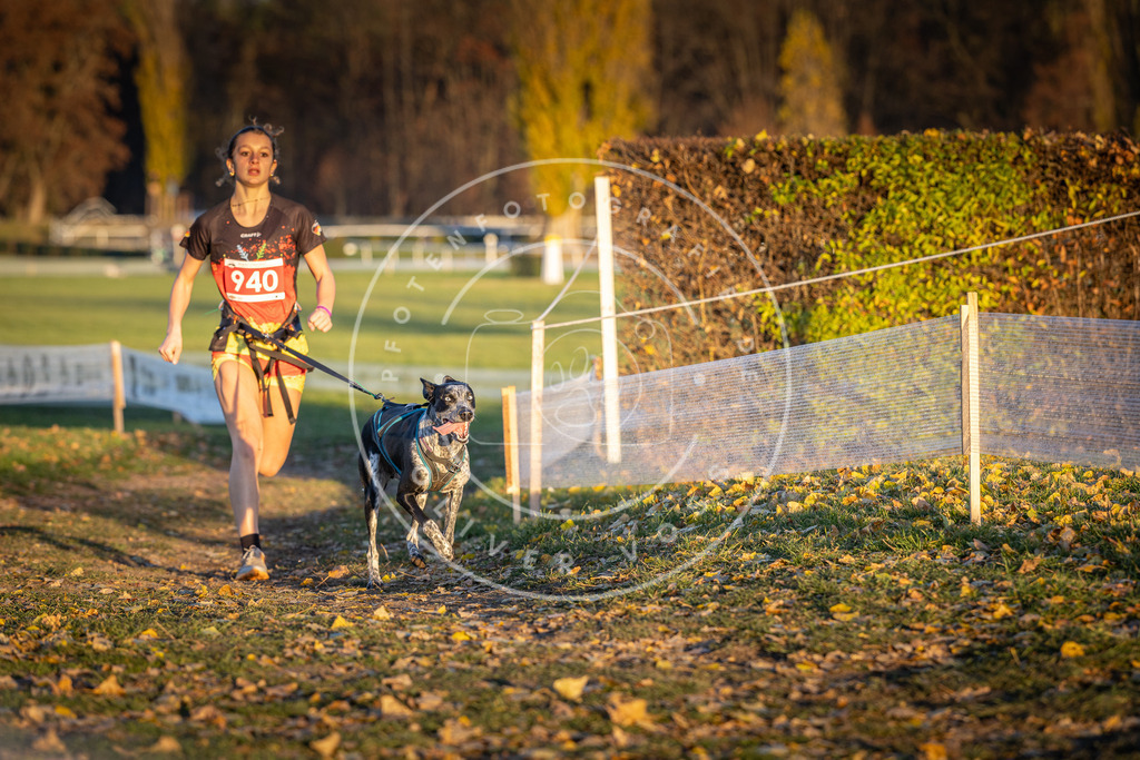 CaniXpix_DV3A5371 | Hundefotografie, Tierfotograf, Pfotenfotografie, Fotoshooting Hund, Hunde Portrait, Hundesport, Hundeportraits, Heideshooting, Hunde, Sportfotograf, Hundefotograf, Turnierhundsport, THS,  - Realisiert mit Pictrs.com