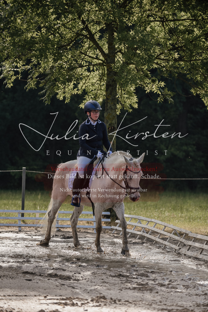 DSC_7932 | Pferde- und Turnierfotografie in Westsachsen. Pferdeportraits, Auftragszeichnungen und intuitive Kunst.