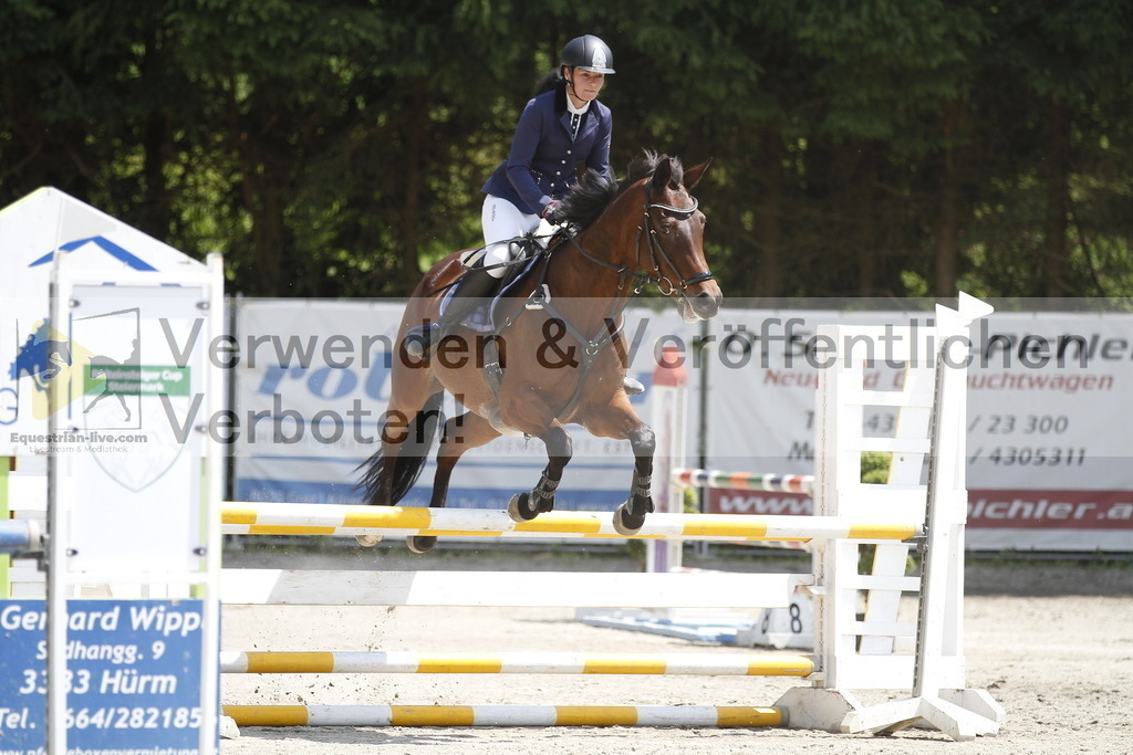 _MG_2146 | equestrian-live-com