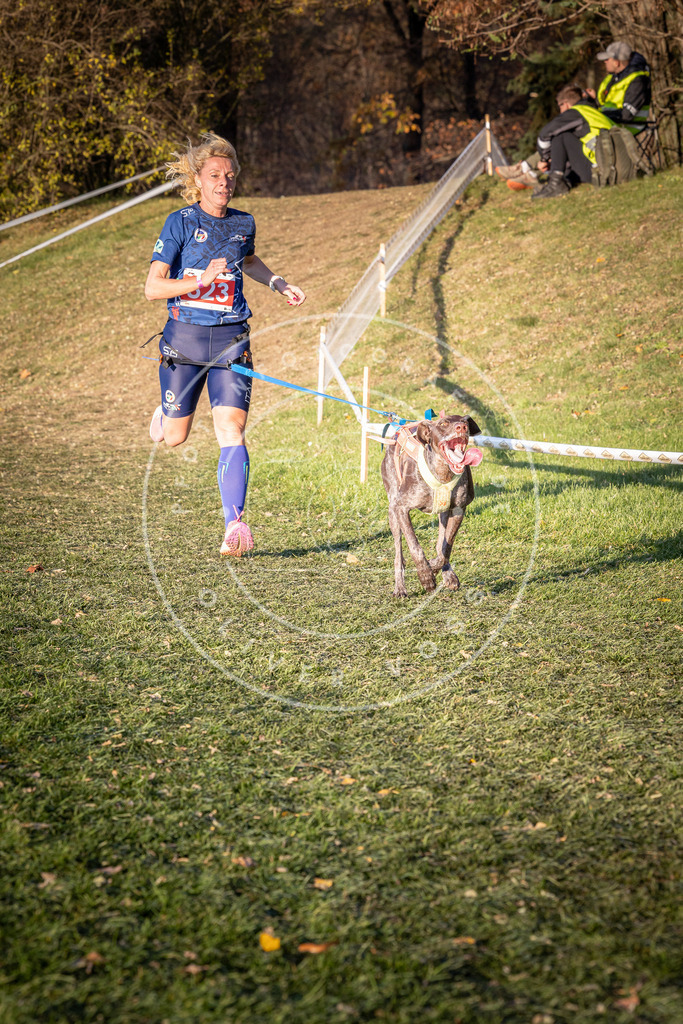 CaniXpix_0L8A0575 | Hundefotografie, Tierfotograf, Pfotenfotografie, Fotoshooting Hund, Hunde Portrait, Hundesport, Hundeportraits, Heideshooting, Hunde, Sportfotograf, Hundefotograf, Turnierhundsport, THS,  - Realisiert mit Pictrs.com