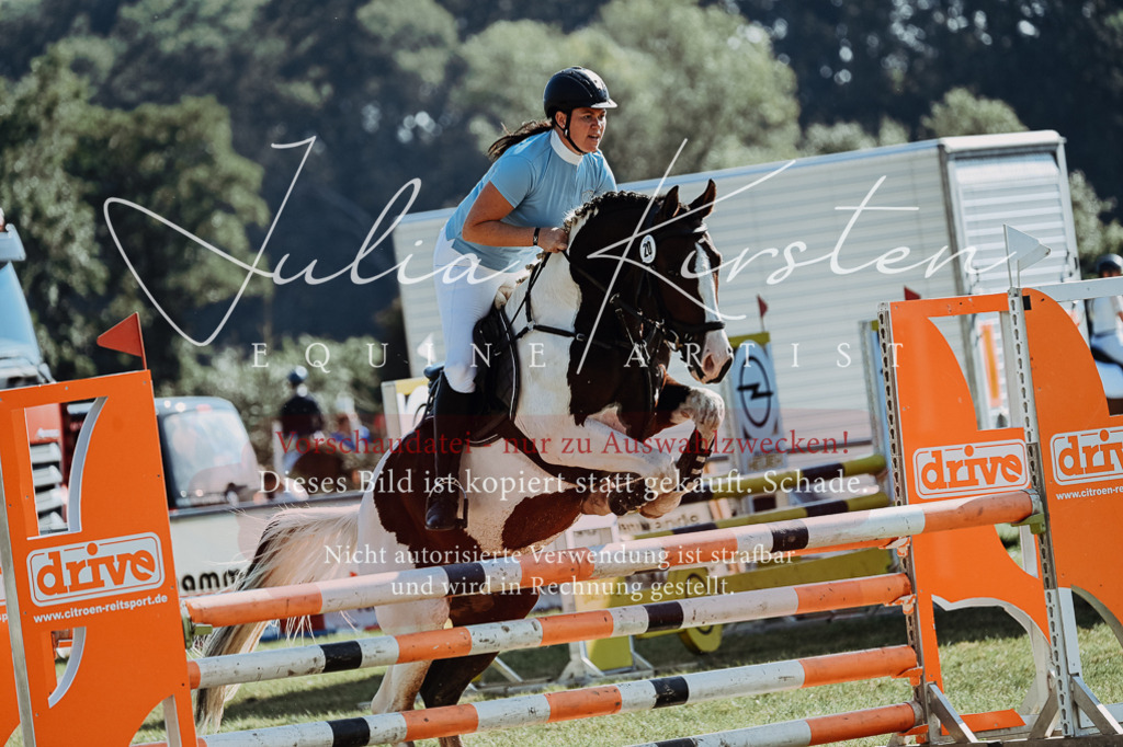 DSC_5473 | Pferde- und Turnierfotografie in Westsachsen. Pferdeportraits, Auftragszeichnungen und intuitive Kunst.