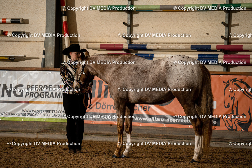 Heiligenwald Tag 1-62 | dv-media-shop - Realisiert mit Pictrs.com