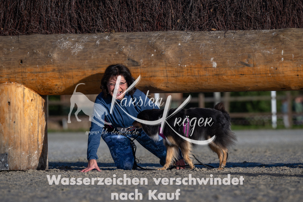 0956-90067 | kk-dogfotos