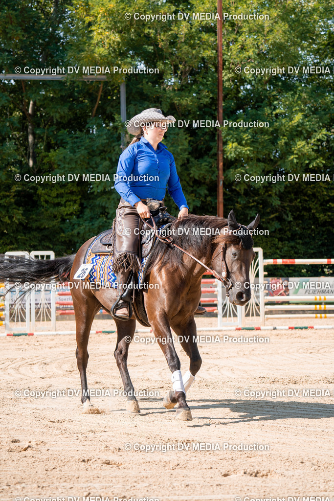 ZH100278 | dv-media-shop - Realisiert mit Pictrs.com