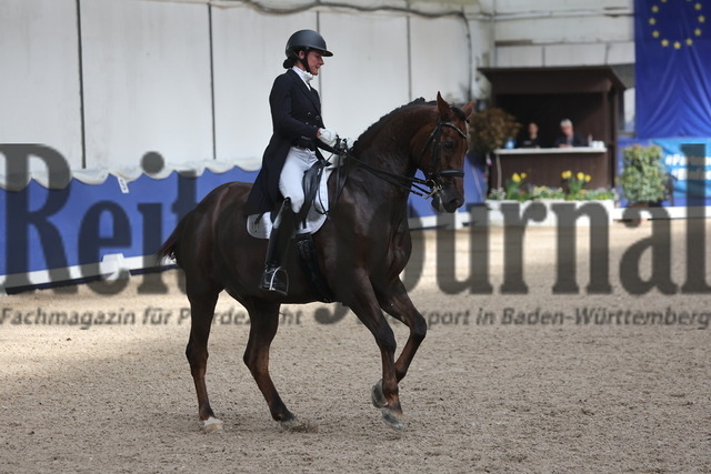 Pforzheim_2024_Prfg.Nr.01_Dressurprfg.Kl.S_GrandPrix_Martina Steisslinger_Favory A.S (28) | Alle Fotos der Reiterjournal Fotografin Doris Matthaes im Reiterjournal Online-Fotoshop. - Realisiert mit Pictrs.com