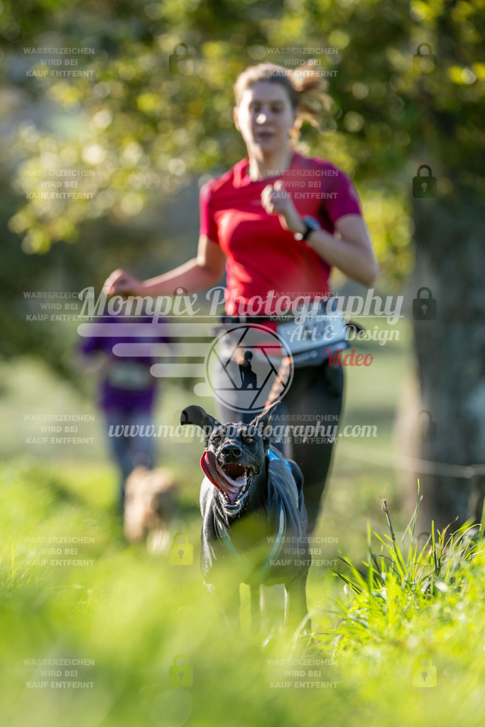 MompixPhotography_20TSB_E3_Run-199 | PayLife