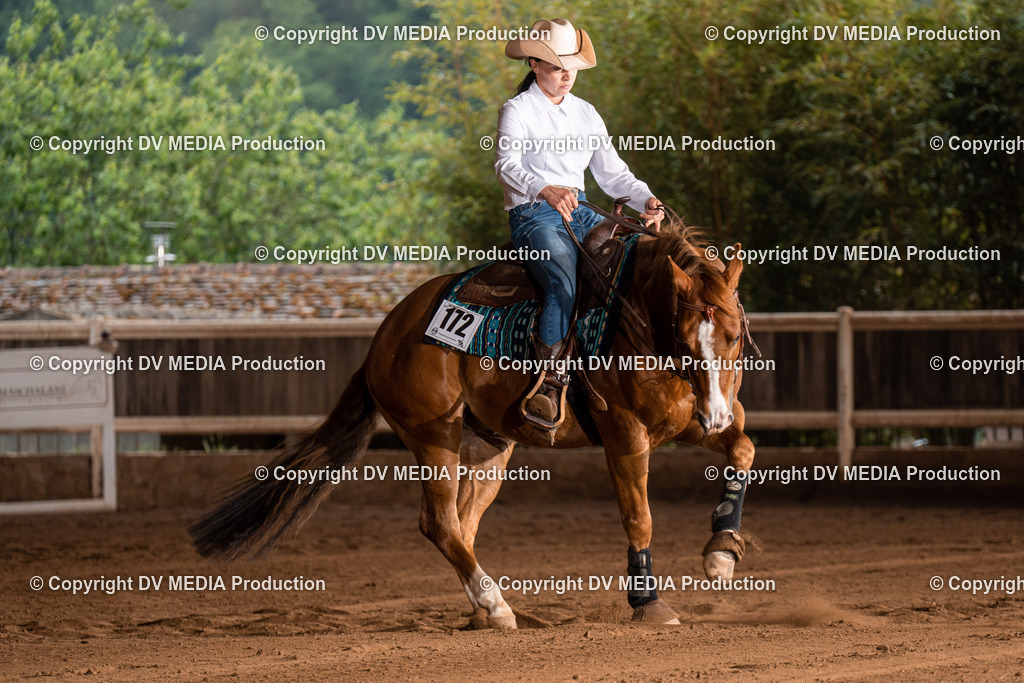 Erbach Tag 2-934 | dv-media-shop - Realisiert mit Pictrs.com