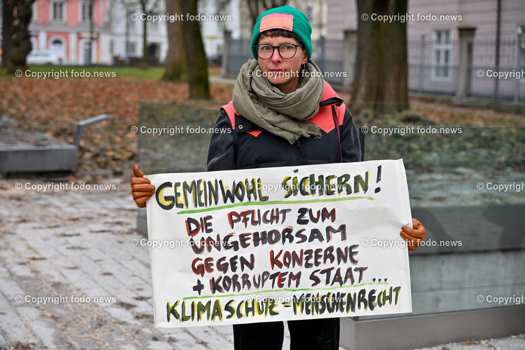 Demonstration Fridays for Future_ Lndhaus Linz_ 16.12.2023-14 | 16.12.2023, Linz, AUT, Demonstration Fridays for Future, Landhaus Linz, im Bild Demonstrationsteilnehmer, Kundgebung, Transparente, Omas gegen rechts, Teachers for Friday, Klimastreik, Klimaziele, Ansprachen