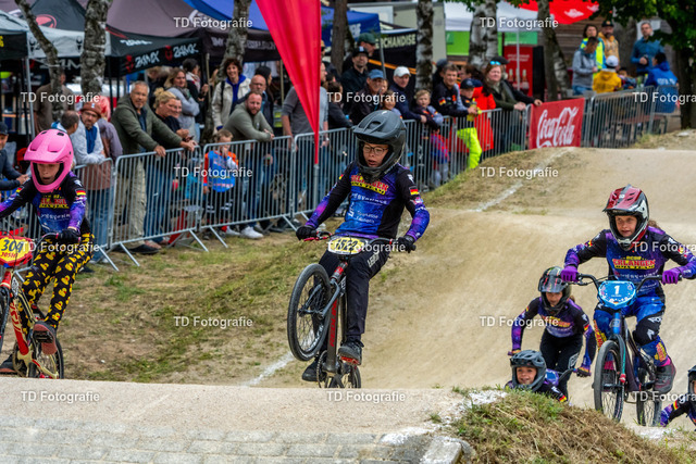 BayBMX2026-05516 | Fotogalerie von Thomas Dettweiler mit Eventbildern und lizenzfreien Fotos. Perfekt als Wandbild, für Büro, Website oder private Nutzung. - Realisiert mit Pictrs.com