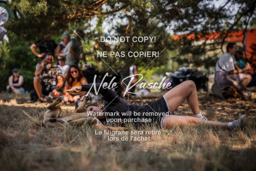 nelerasche_soDD1_344 | nelerasche