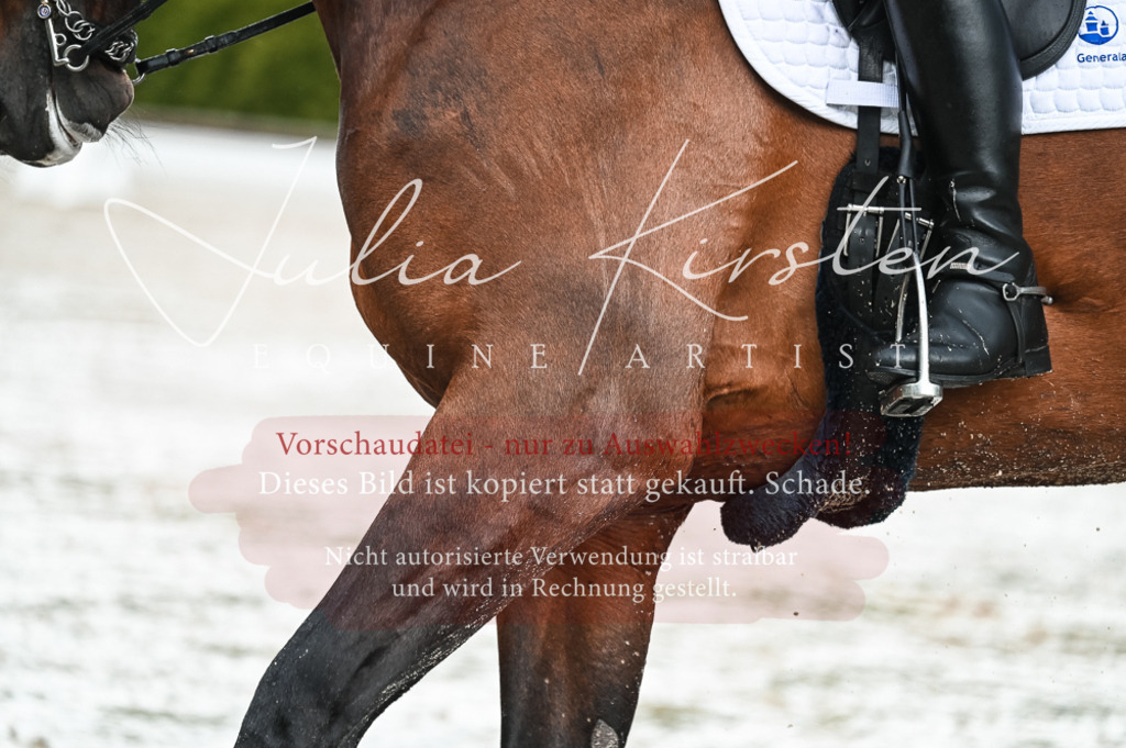 DSC_4219 | Pferde- und Turnierfotografie in Westsachsen. Pferdeportraits, Auftragszeichnungen und intuitive Kunst.