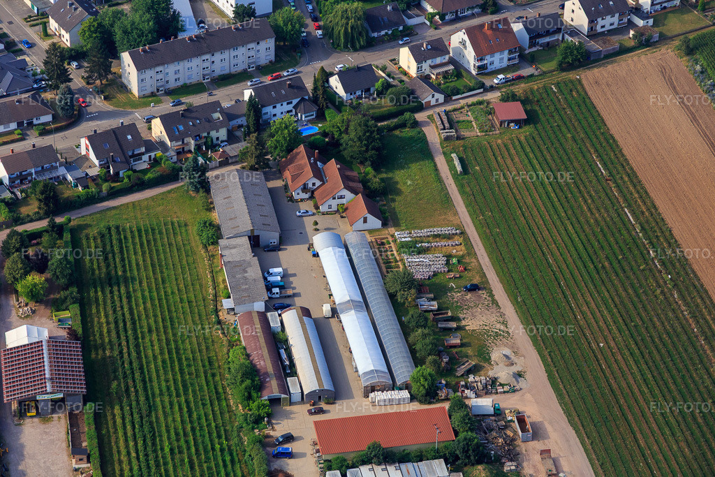 Luftbild: Biohof Kugelmann in Kandel im Bundesland Rheinland-Pfalz in Deutschland. Foto: IMG_108975.jpg vom 15.07.2018 durch Werner Riehm/FLY-FOTO.deÜber uns - Biozyklisch-Veganer Anbau