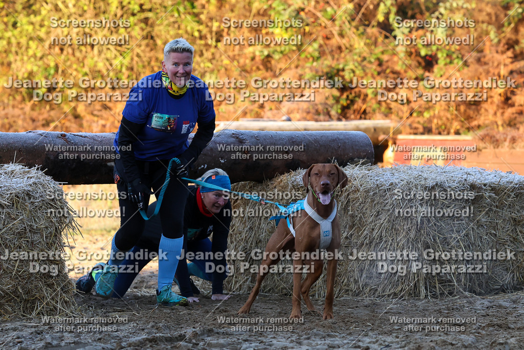 Dog Paparazzi - Strongdog 10-25-466 | Dog Paparazzi Jeanette Grottendiek Fotografie & Videografie - Realisiert mit Pictrs.com