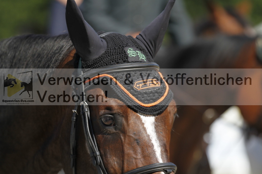 _MG_5453 | equestrian-live-com