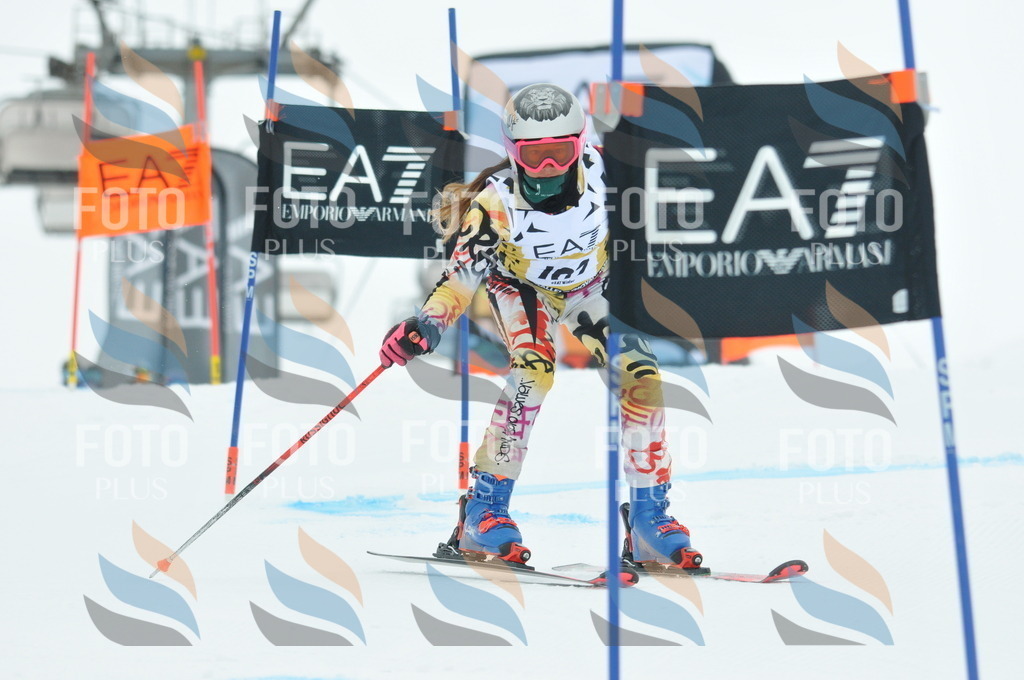 DSC_8070 | holidayphoto