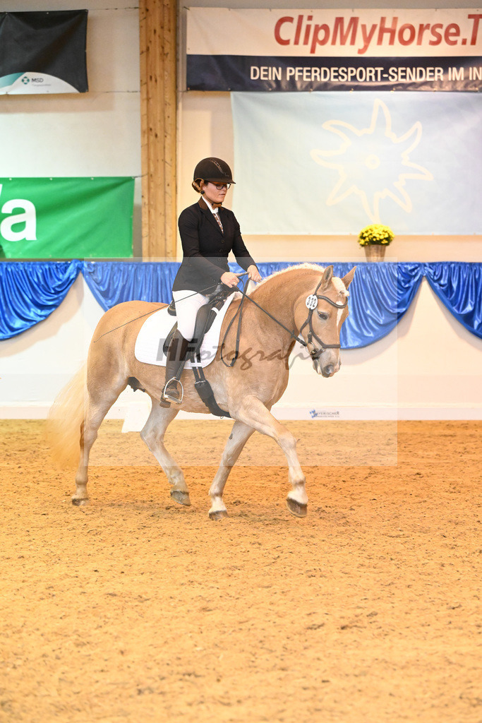 Kat-Nr. 332 Highlight_Schuler_54222276 | hf-fotografie - Realisiert mit Pictrs.com