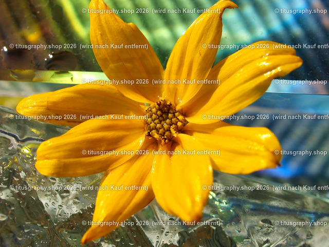 titusgraphy_P7277836-vz-ln | titusgraphy-shop: Geschenkideen mit Qualitätsfotos. titusgraphy-shop: gift ideas with quality photos. titusgraphy-shop: idées cadeaux avec photos de qualité.  - Realisiert mit Pictrs.com