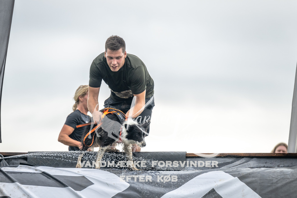 1408_ZZ94481 | kk-dogfotos