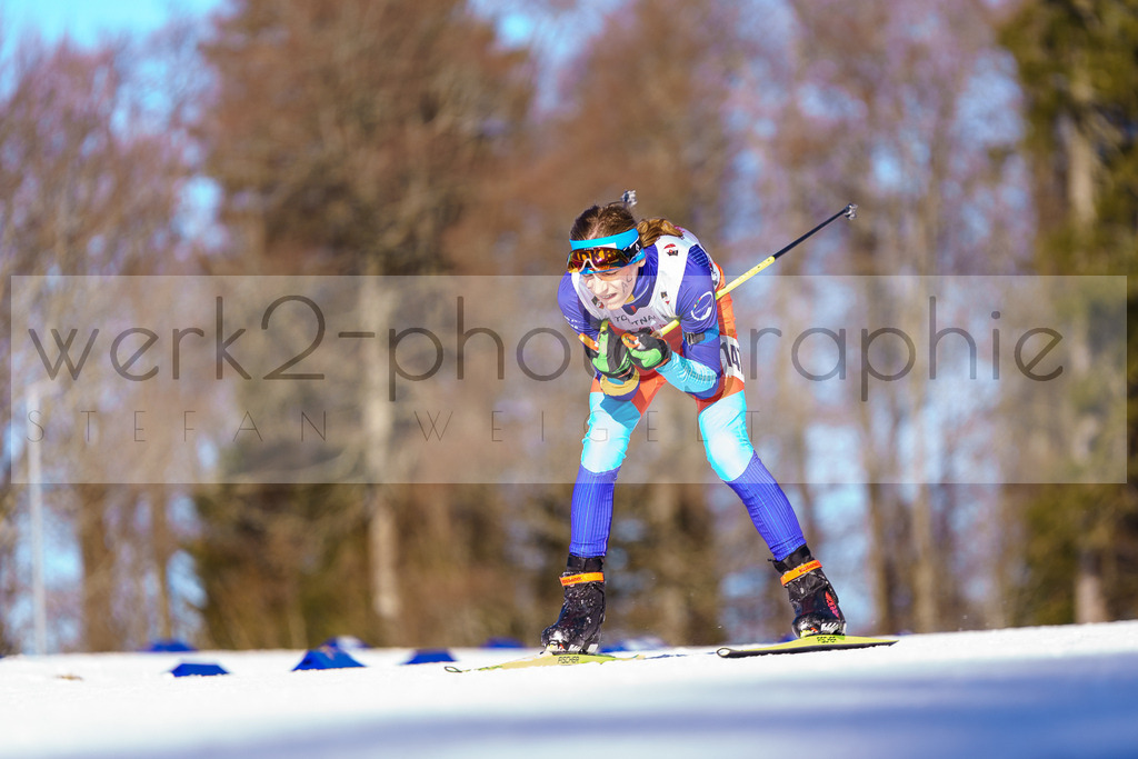 DSC Notschrei | 2. DSV E.INFRA Schülercup im Nordic-Center Notschrei am 17. bis 19. Januar 2025